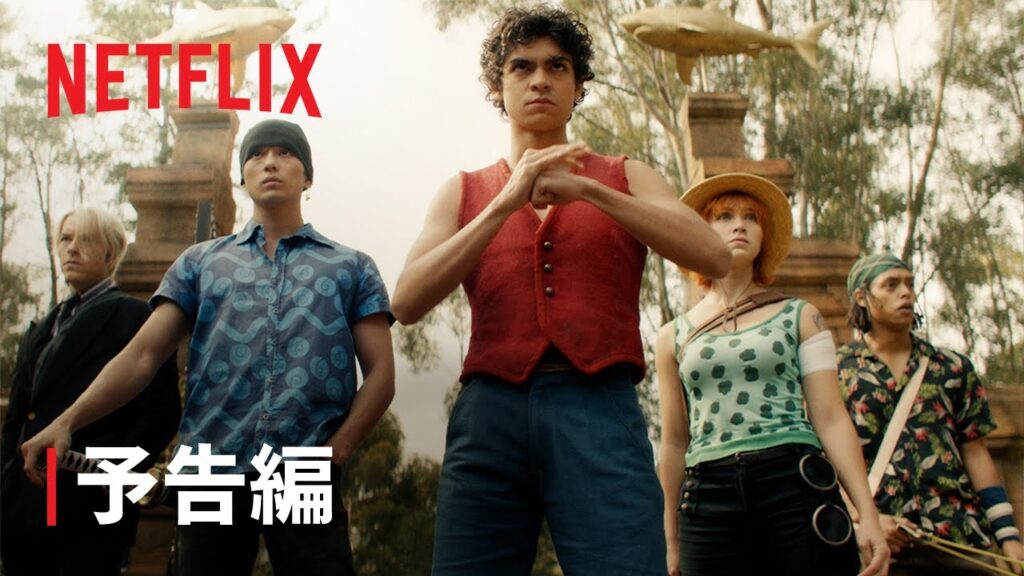 Netflix　ワンピース吹き替え　ポコねっと