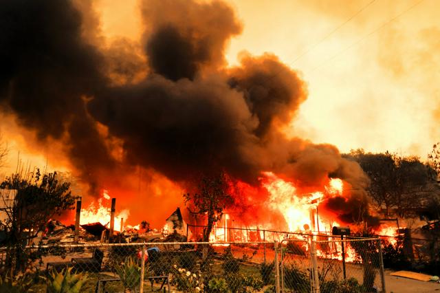 ロス山火事　ポコねっと
